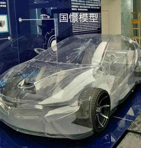 兴隆县透明车模型